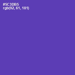#5C3DB5 - Royal Purple Color Image