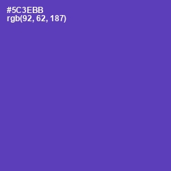 #5C3EBB - Royal Purple Color Image