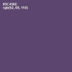 #5C456E - Mulled Wine Color Image