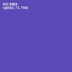 #5C49B8 - Blue Violet Color Image