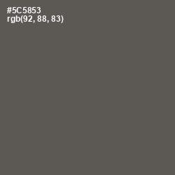 #5C5853 - Chicago Color Image