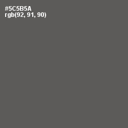 #5C5B5A - Chicago Color Image