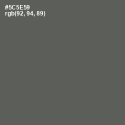 #5C5E59 - Chicago Color Image