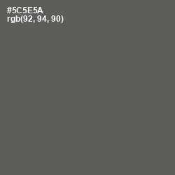 #5C5E5A - Chicago Color Image