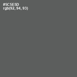 #5C5E5D - Chicago Color Image