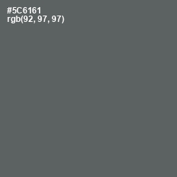 #5C6161 - Shuttle Gray Color Image