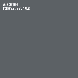 #5C6166 - Shuttle Gray Color Image