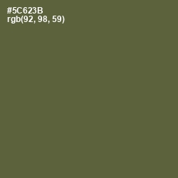 #5C623B - Chalet Green Color Image