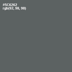 #5C6262 - Shuttle Gray Color Image