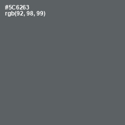 #5C6263 - Shuttle Gray Color Image