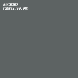 #5C6362 - Shuttle Gray Color Image