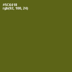#5C6418 - Green Leaf Color Image