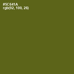 #5C641A - Green Leaf Color Image