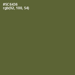 #5C6436 - Chalet Green Color Image