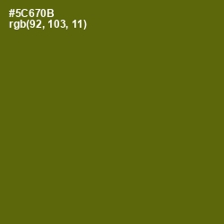 #5C670B - Green Leaf Color Image