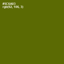 #5C6A03 - Green Leaf Color Image