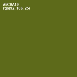 #5C6A19 - Green Leaf Color Image