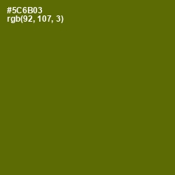 #5C6B03 - Green Leaf Color Image