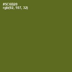 #5C6B20 - Chalet Green Color Image