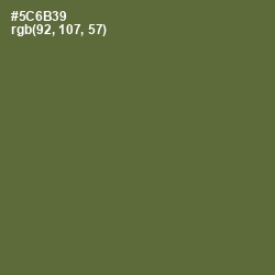 #5C6B39 - Chalet Green Color Image