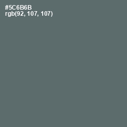 #5C6B6B - Shuttle Gray Color Image