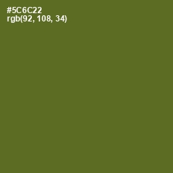 #5C6C22 - Chalet Green Color Image