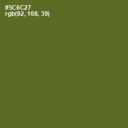 #5C6C27 - Chalet Green Color Image