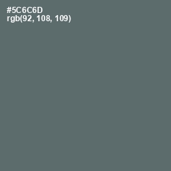 #5C6C6D - Shuttle Gray Color Image