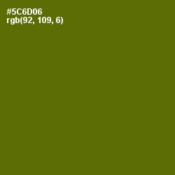 #5C6D06 - Green Leaf Color Image