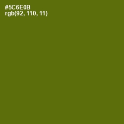 #5C6E0B - Green Leaf Color Image