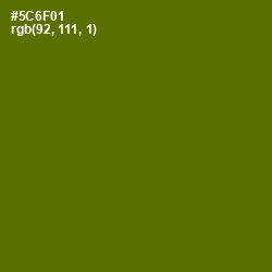 #5C6F01 - Green Leaf Color Image