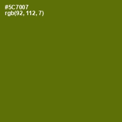 #5C7007 - Green Leaf Color Image