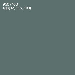 #5C716D - Como Color Image