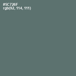 #5C726F - Como Color Image