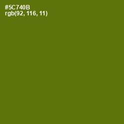 #5C740B - Green Leaf Color Image