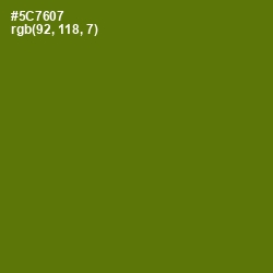 #5C7607 - Green Leaf Color Image