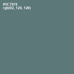 #5C7878 - Cutty Sark Color Image