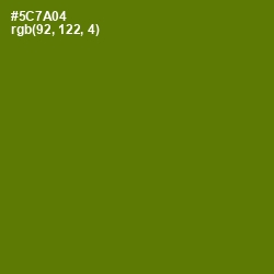 #5C7A04 - Green Leaf Color Image