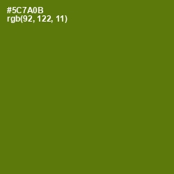 #5C7A0B - Green Leaf Color Image