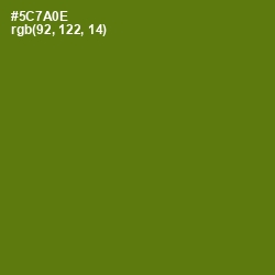 #5C7A0E - Green Leaf Color Image