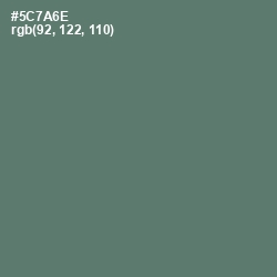 #5C7A6E - Como Color Image