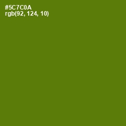 #5C7C0A - Green Leaf Color Image