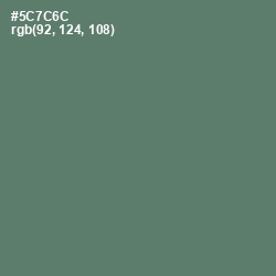 #5C7C6C - Como Color Image