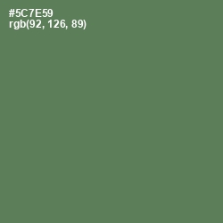 #5C7E59 - Cactus Color Image