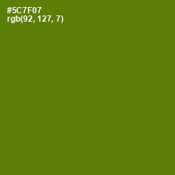 #5C7F07 - Green Leaf Color Image