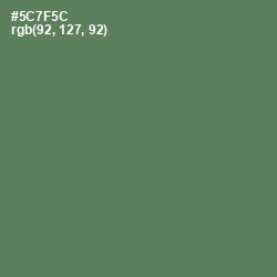 #5C7F5C - Cactus Color Image