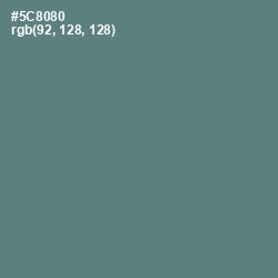 #5C8080 - Smalt Blue Color Image