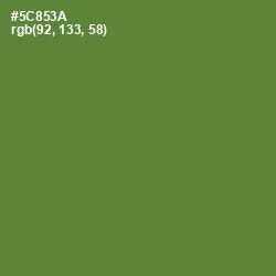 #5C853A - Olive Drab Color Image