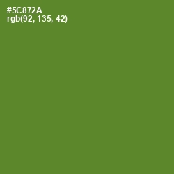 #5C872A - Olive Drab Color Image