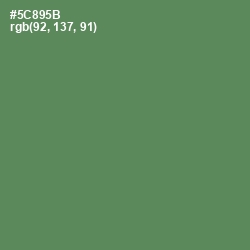 #5C895B - Hippie Green Color Image